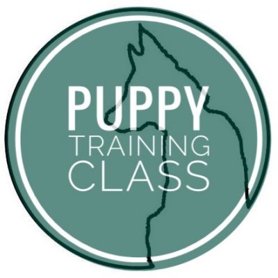 Four Week Puppy Class January 10th at 6pm