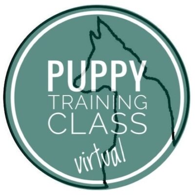 VIRTUAL Puppy Class